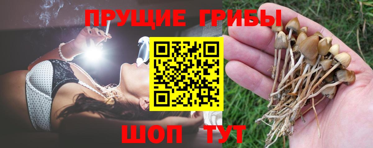 Галлюциногенные грибы мухоморы Еманжелинск